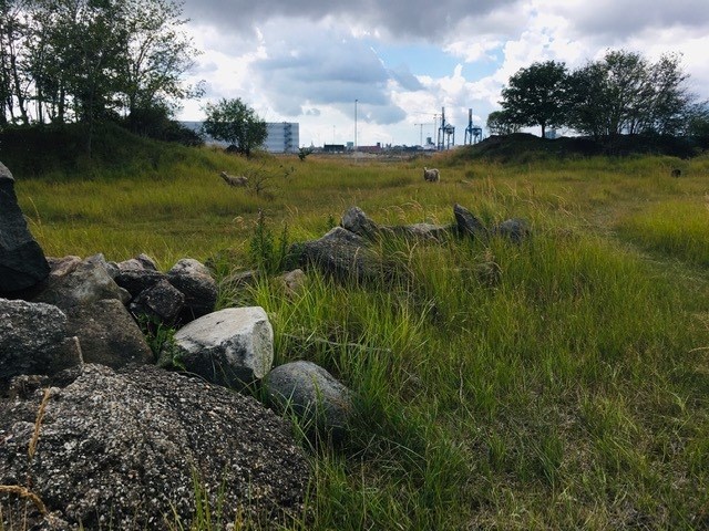 15f5df5e-8a75-470f-93e6-92be0e7d82fd_l.jpg (640×480)