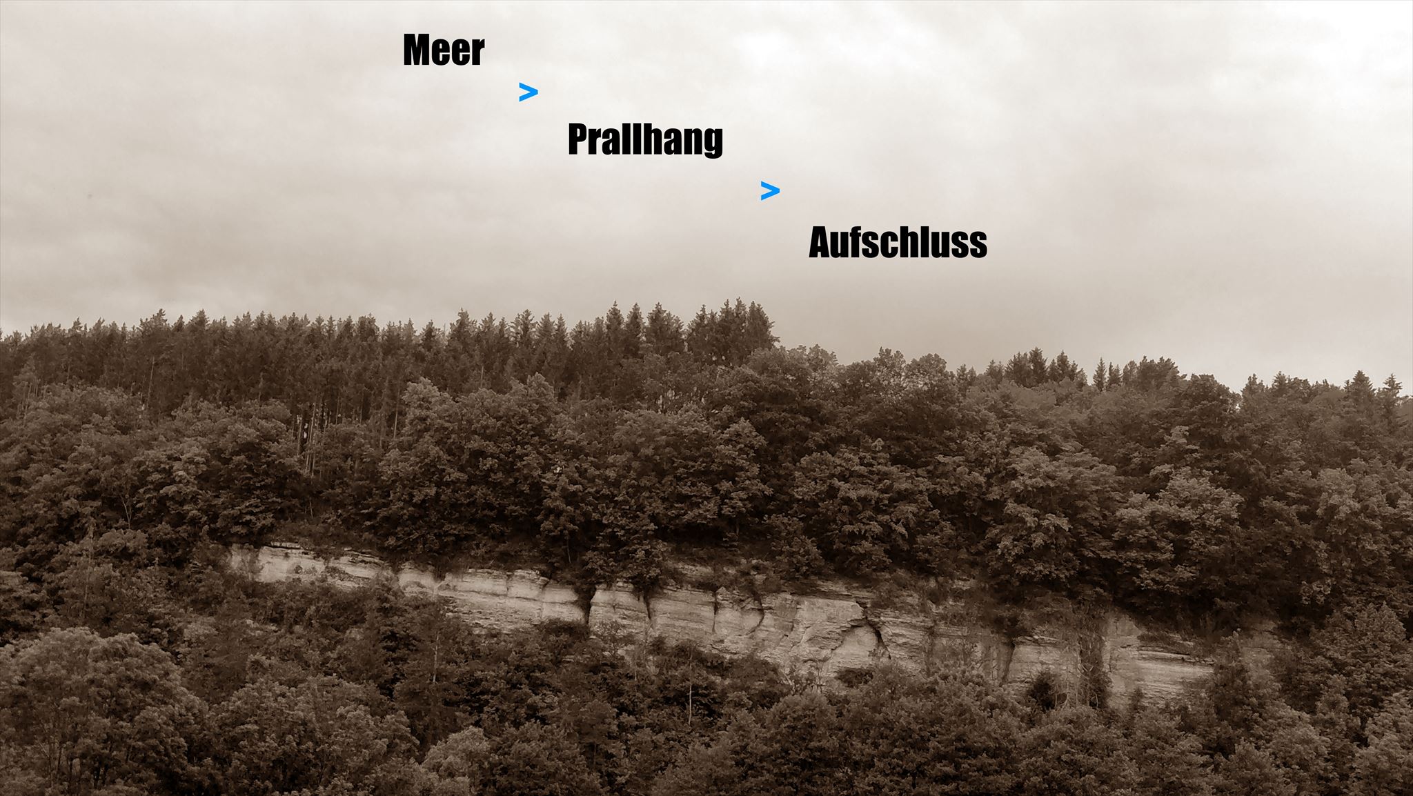 MeerPrallhangAufschluss