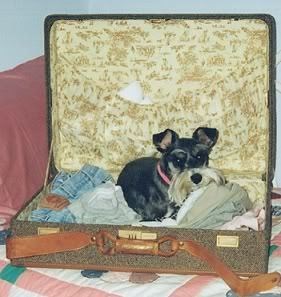 Photobucket - Video and Image Hosting