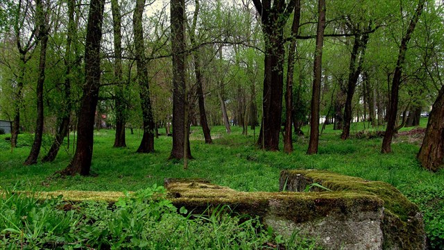 Szpital w Jaśle - Park