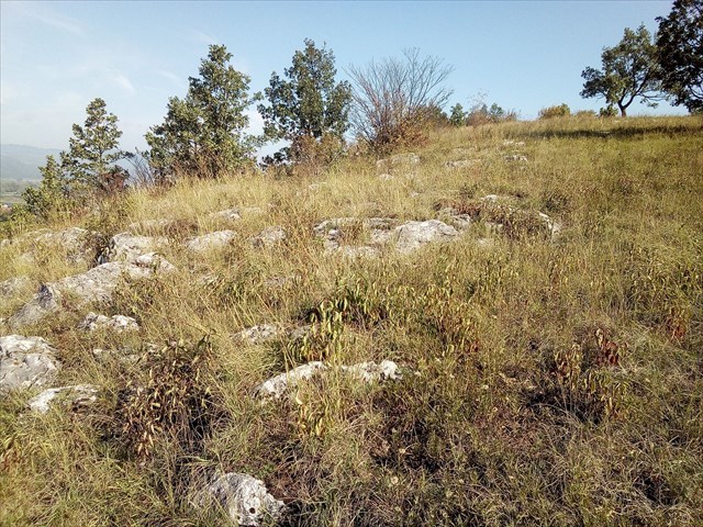 škrapové pole