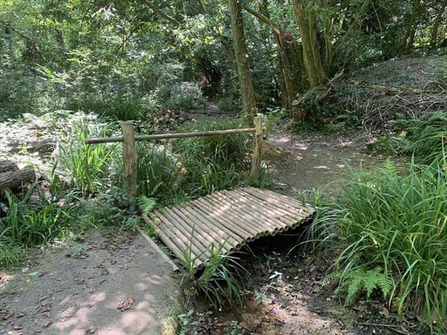 Petit pont en bambous
