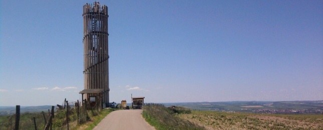 Akátová věž - Výhon