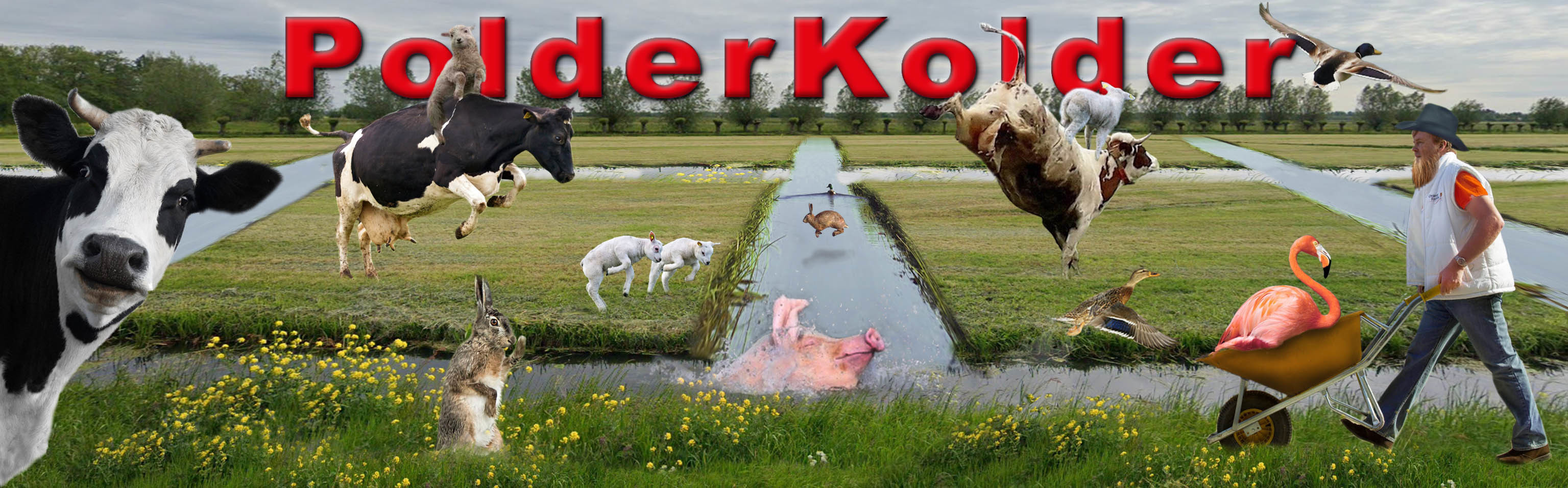 PolderKolder-header