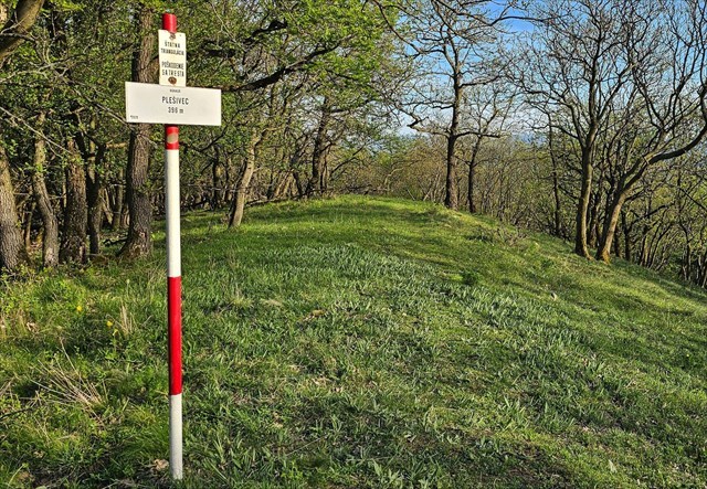 Plešivec 395,4 m