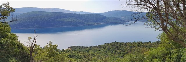 Panorama 5