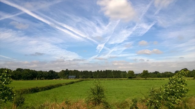 Warande Trail Stiltegebied