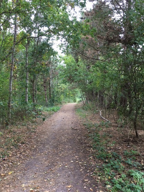 1b55fd69-21ea-440f-86c2-019ffead5809_l.jpg (480×640)