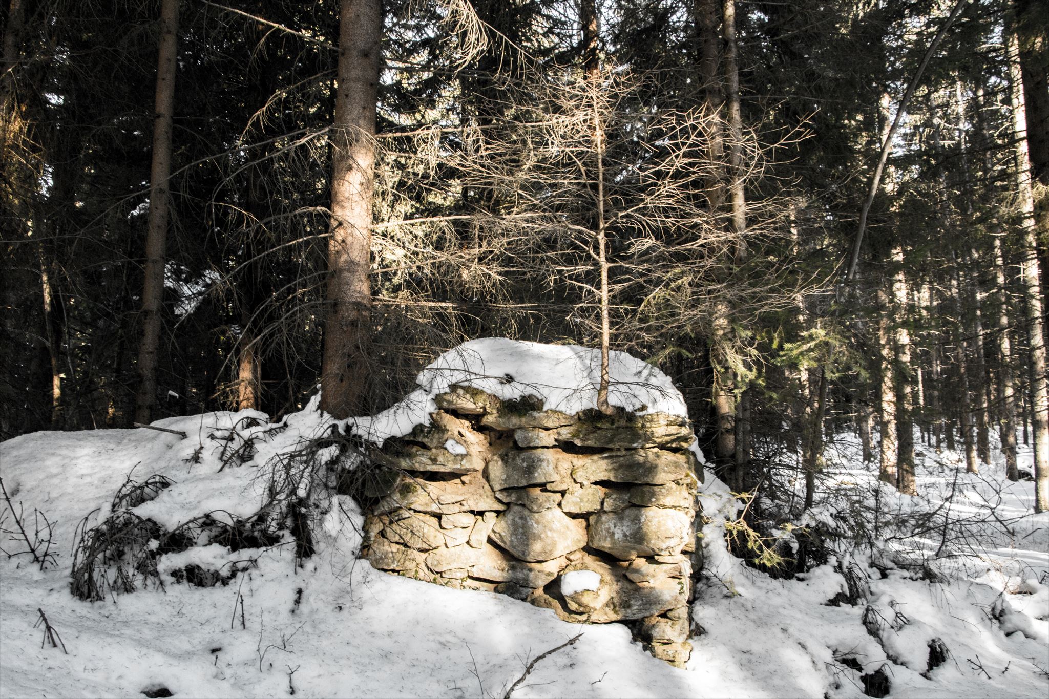 pevnost
