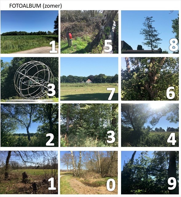 fotoalbum zomer