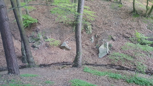 Údolie Lamačského potoka