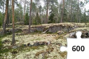 Jigsaw puzzle - Pedesi Puzzle #6 - Magnusas skooji