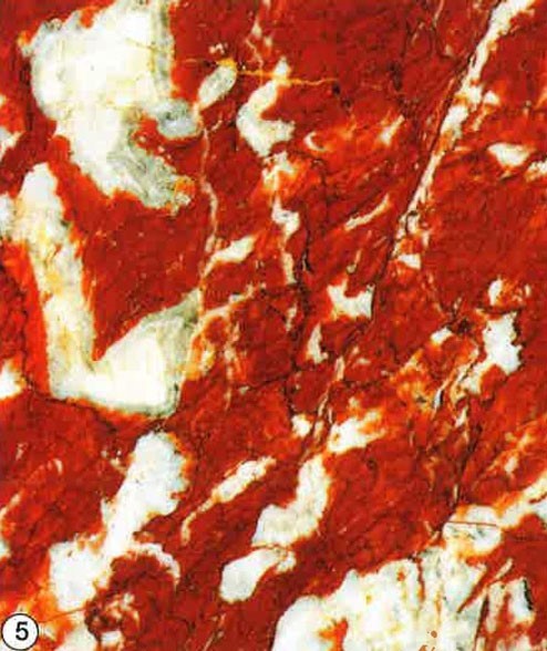 Marbre Incarna Turquin