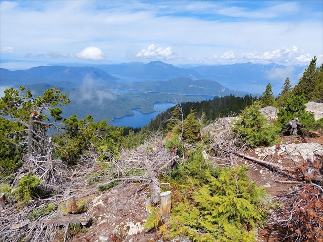 Lookout view