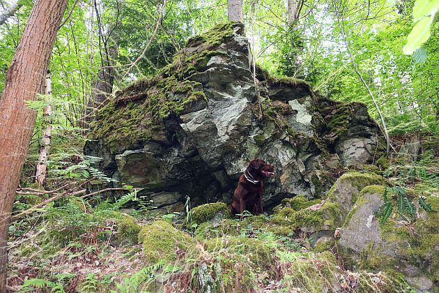 Skalka zázraků