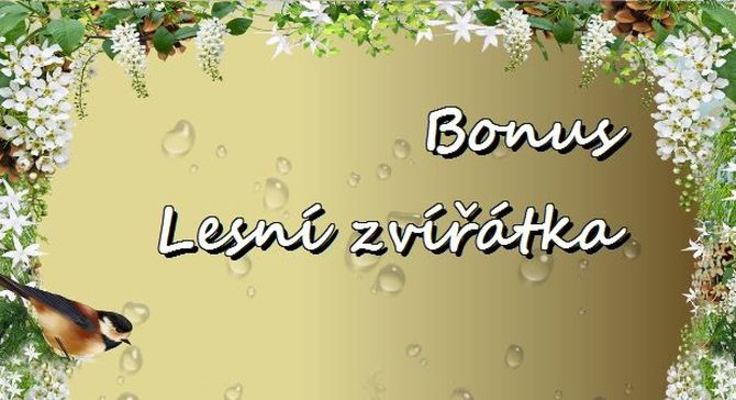 Bonus Lesní zvířátka-TOP