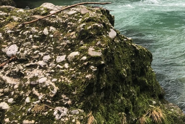 Fels aus Kontglomeratgestein