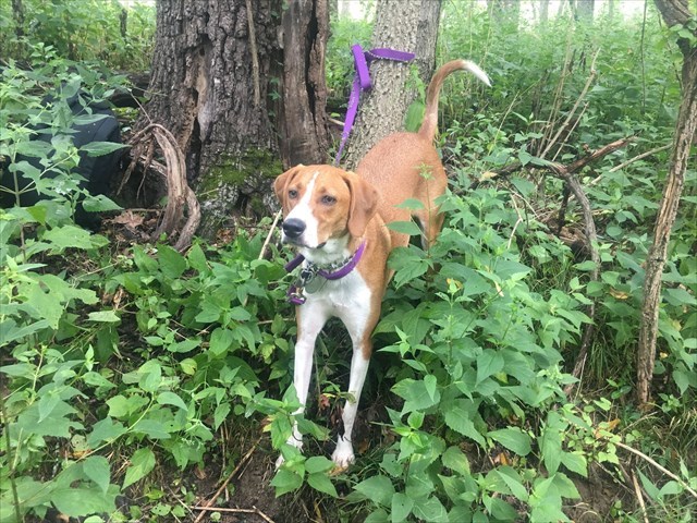 Please join SLAGA, we welcome new members!