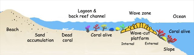 GC6XBG3 Corail Et Lagon Tahiti Earthcache In French Polynesia 