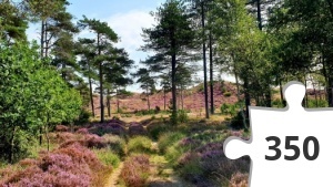 Jigsaw puzzle - 20220823_150700