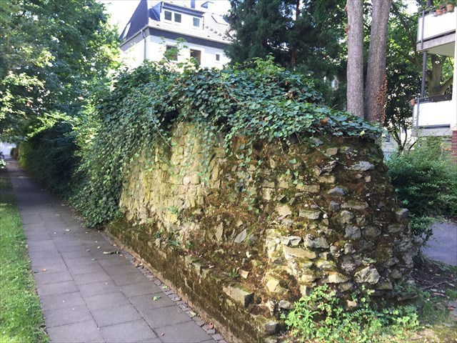 Zugewachsene Stadtmauer