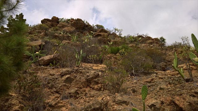 TF Las Vegas #05 TF Las Vegas #05