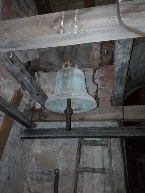 Pozorování v lesích poblíž Valašských Klobouků Pozorování v lesích poblíž Valašských Klobouků