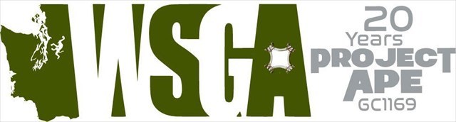 WSGA - 20 Years Project APE Banner