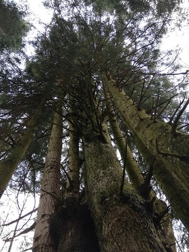 Geotrail Gemme del Baldo