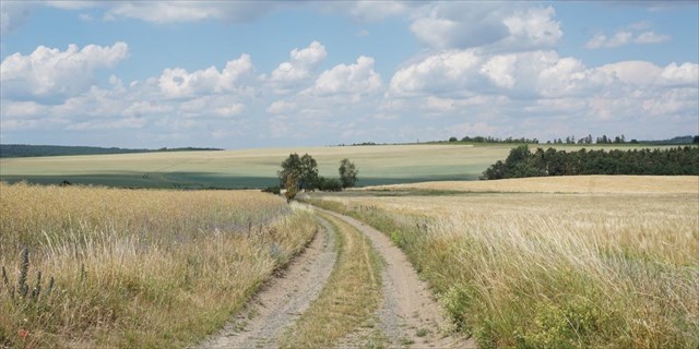 polní cesta před rozcestím U Kotanče