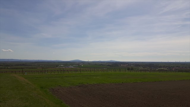Aussicht_1