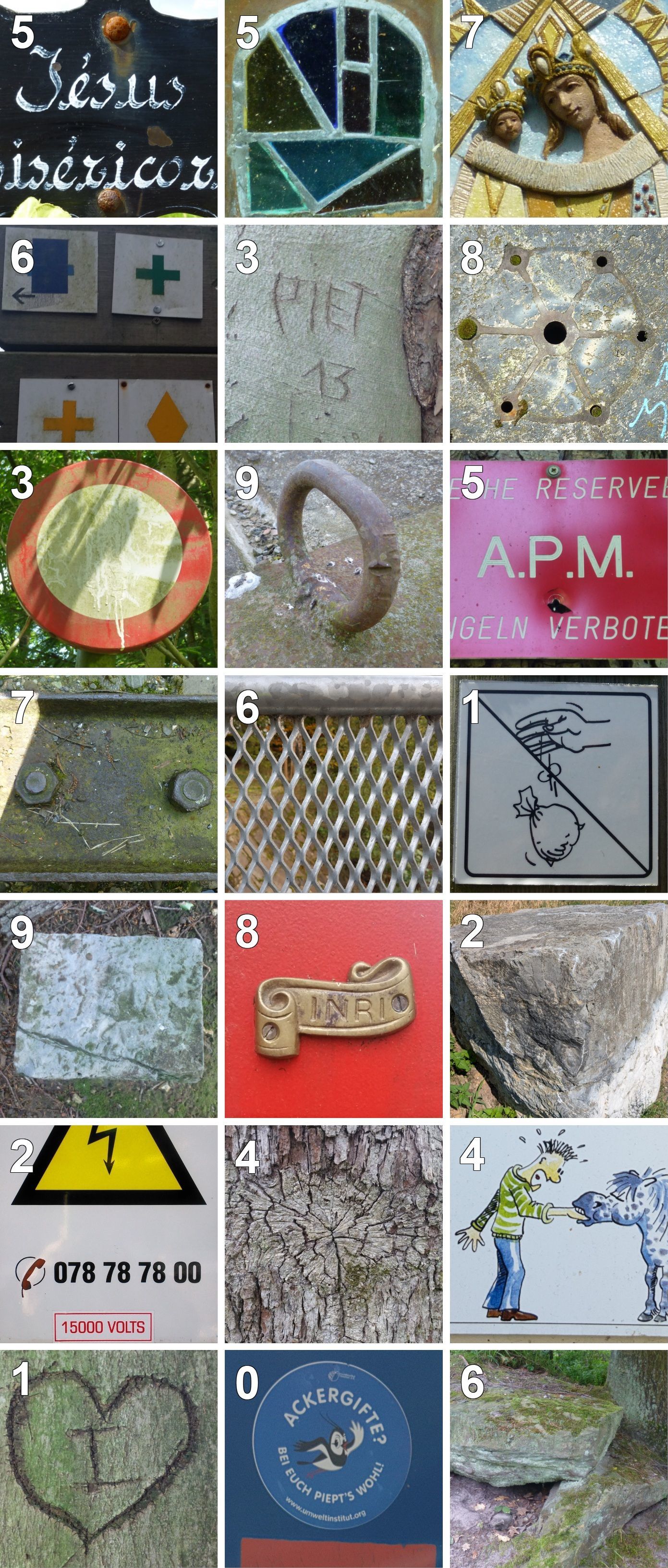 Eindrücke aus dem Öcher Bösch