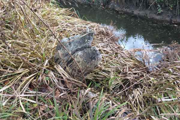 Baum: 2 Jahre später Baum: 2 Jahre später