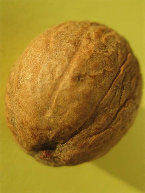 Gewürz Nr. 3