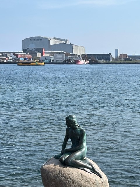 22b18b92-dd9b-4027-bc54-bd0574368190_l.jpg (480×640)