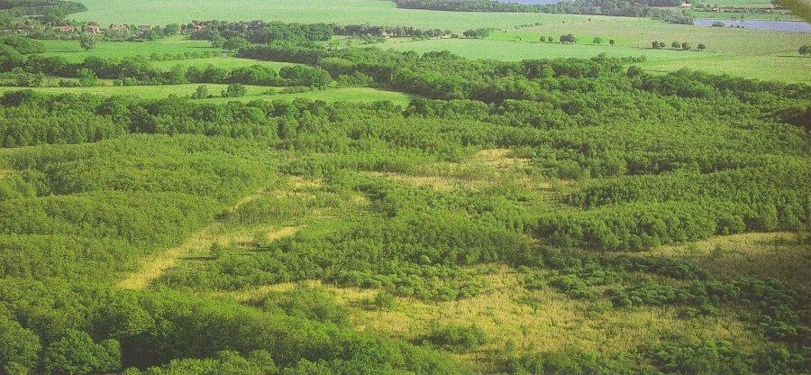 Luftbildaufnahme NSG Brantensee