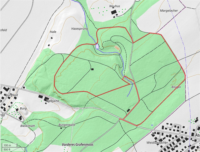 Aspi-Wald-Spaziergang