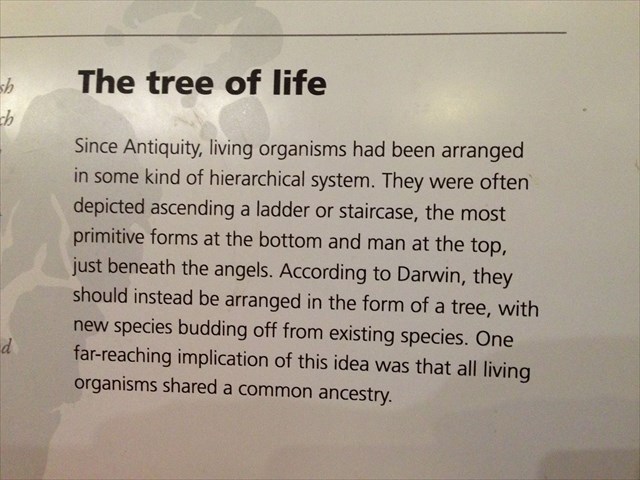 2305e51f-c4e2-4976-a389-324229054f2b_l.jpg (640×480)