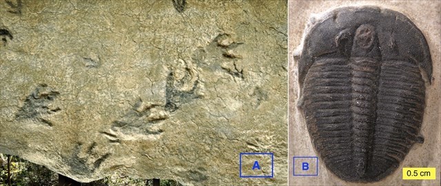 question2