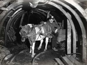 You cannot see this picture