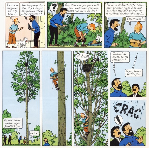 Tintin dans les arbres