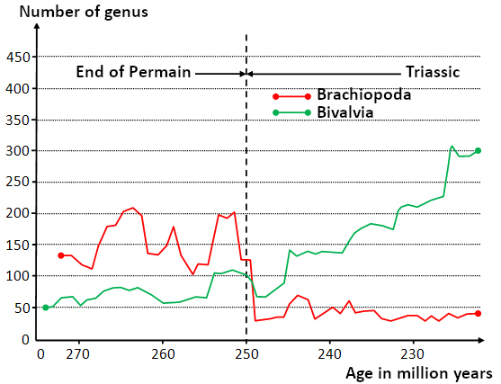 Evolution of the number of Brachiopods and Bivalves before and after the Permo-Triassic crisis