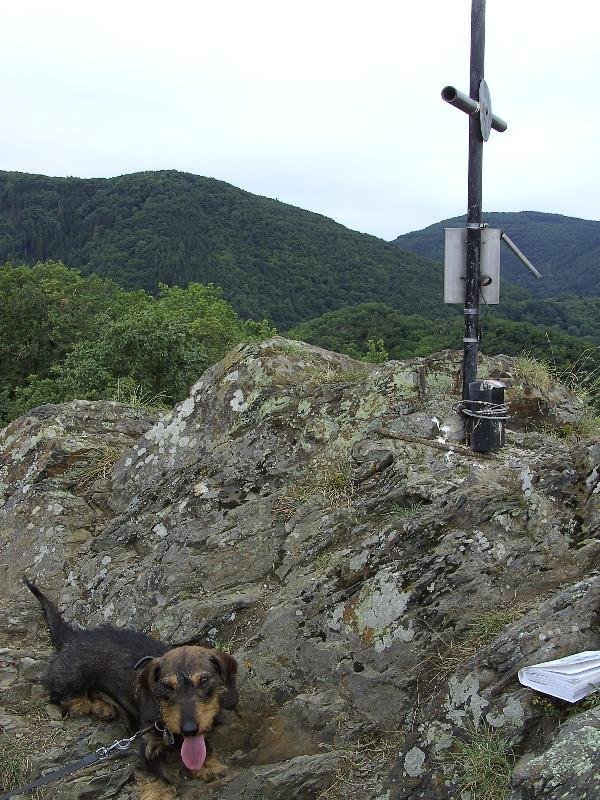 Kandidat 4 Ahrview Engelsloch