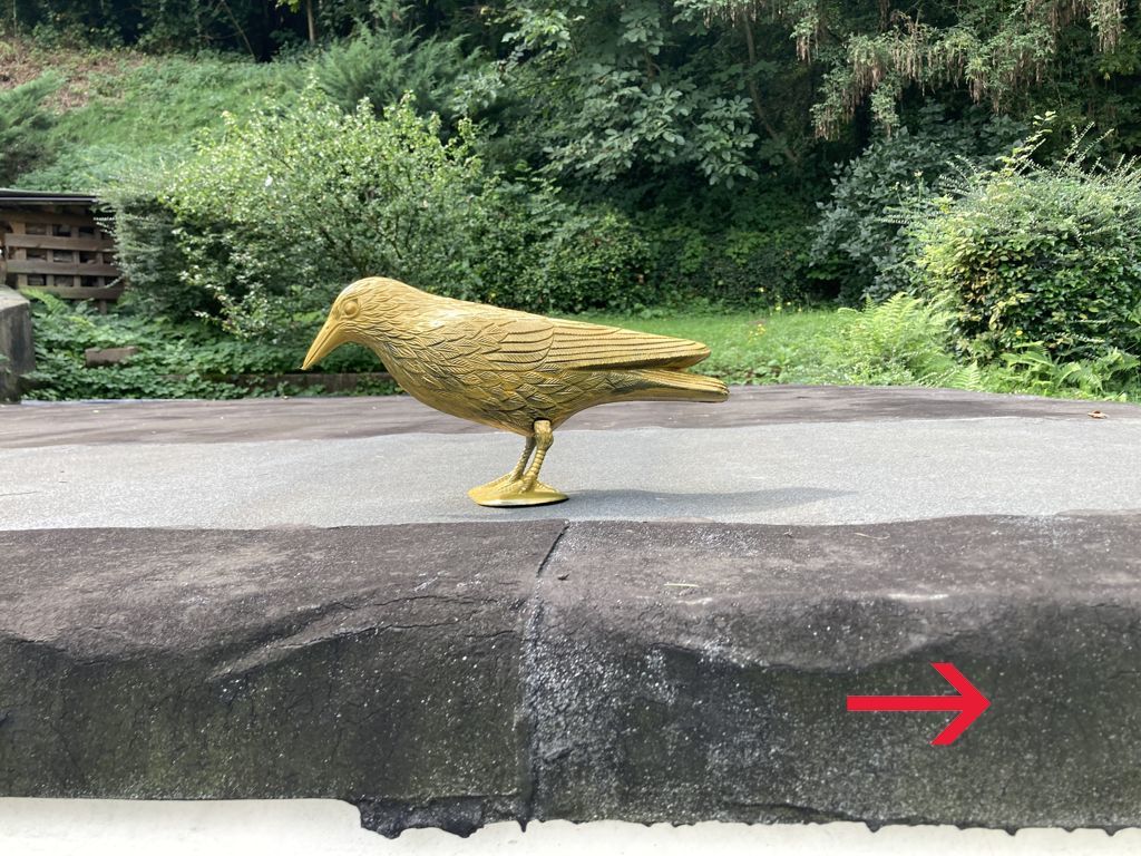 06/11 - goldene Krähe