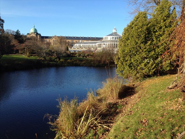 2553e654-85ab-405b-bef1-504097910b03_l.jpg (640×480)