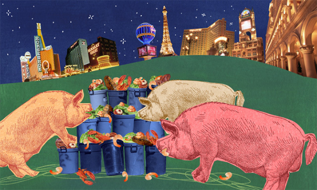 illustration of pigs eating food from trash cans