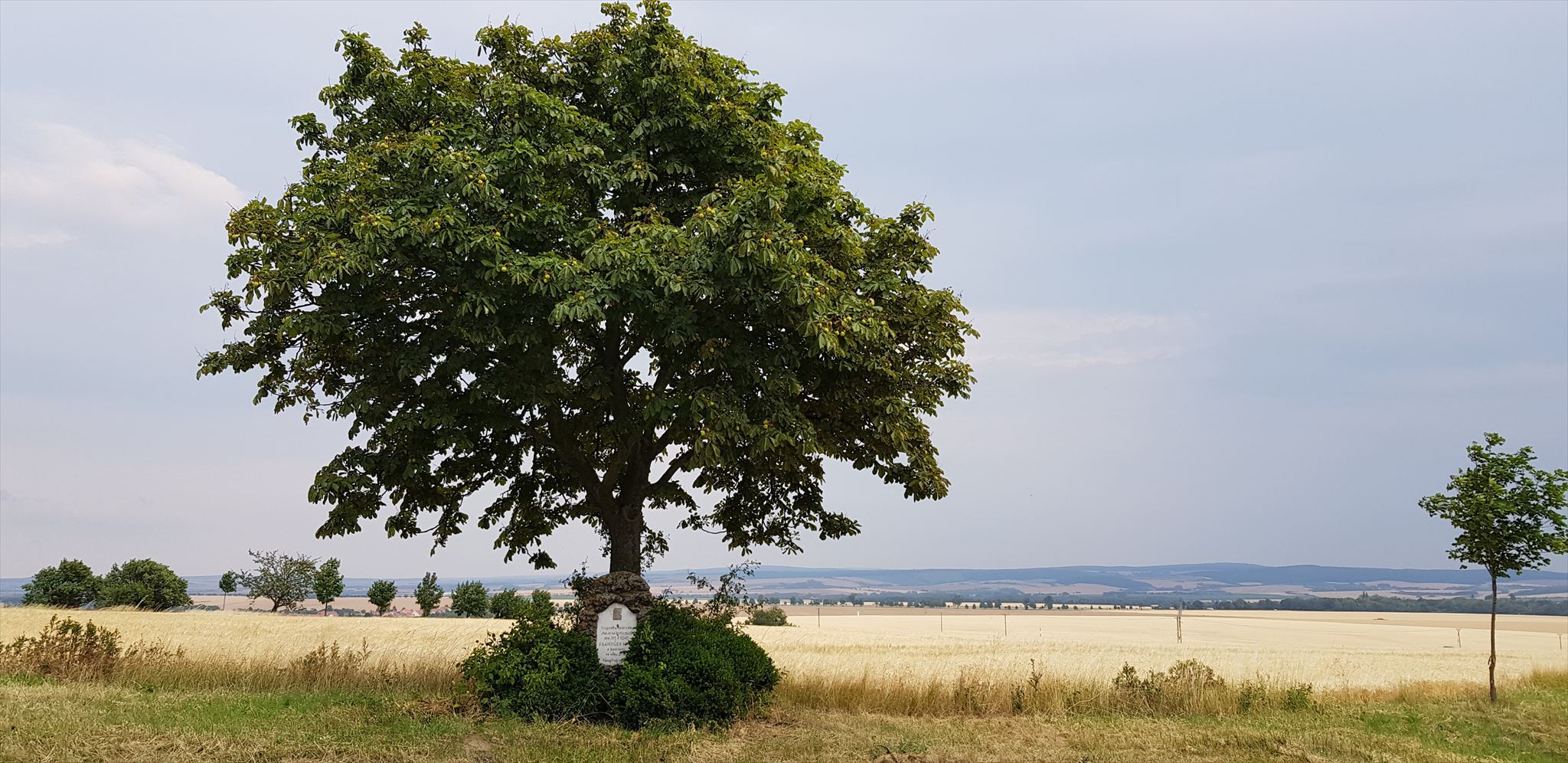 Pomníček u Radslavic Pomníček u Radslavic