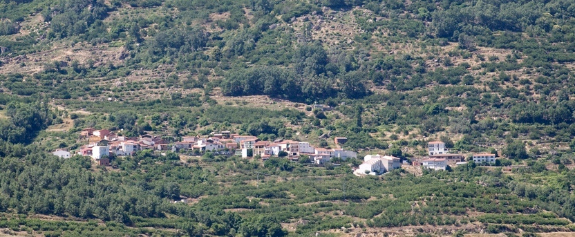 Municipio de Rebollar