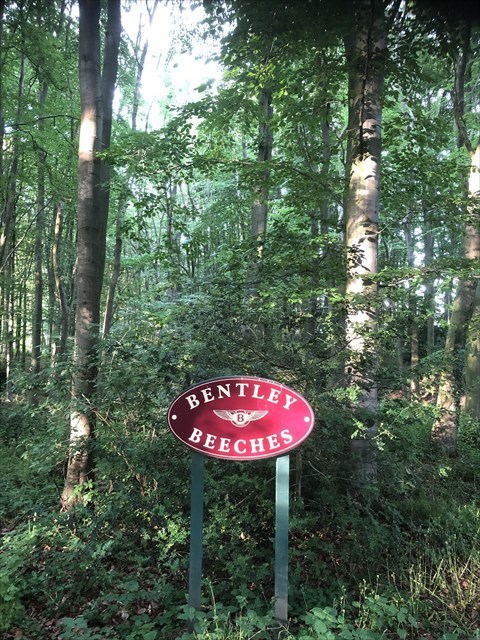 Bentley Beeches. The cache is not on this sign