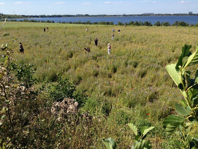 25eac8bb-300e-49f1-9c96-20f7c331bbfd_l.jpeg (640×480)